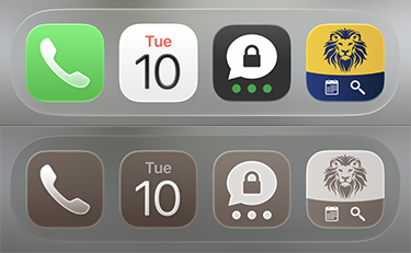New application launch icon in normal and tinted mode