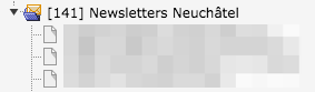 Newsletter folder for a club