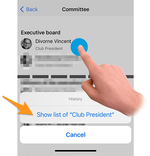Accessing the history of a given club function