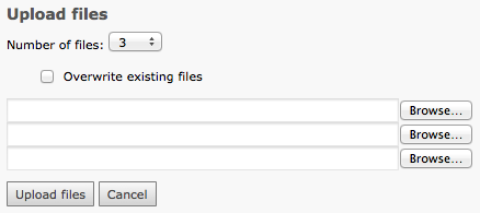 Standard file upload form